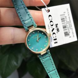 COACH/蔻驰美国官网新款腕表PARK系列真皮珍珠母贝石英女表手表