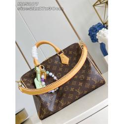 LV中文官网M15107 SPEEDY SOFT 30 LUCKY 手袋枕头包
