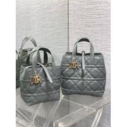 DIOR迪奥包包M2835/M2836 Toujours 小号/中号竖版菜篮子手提包